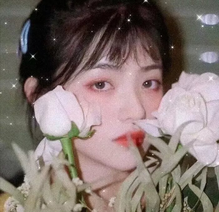 破晓之翼